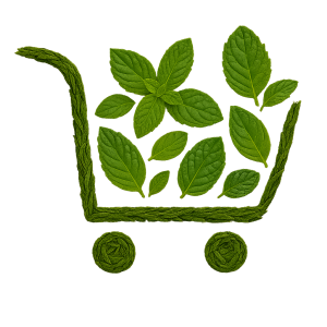 Thé Vert Bio Marrakesh Mint – L’Oasis de Fraîcheur & de Sérénité – Le Sommelier du Thé